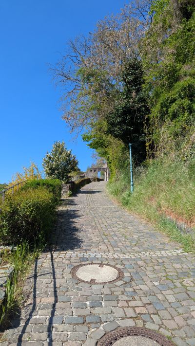 Ostseite weiter hinauf